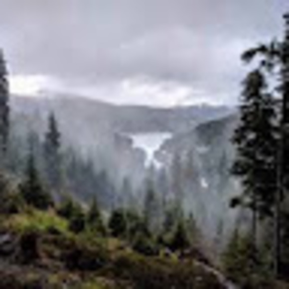 Meet your Posher, Donald - Picture 1 of 1